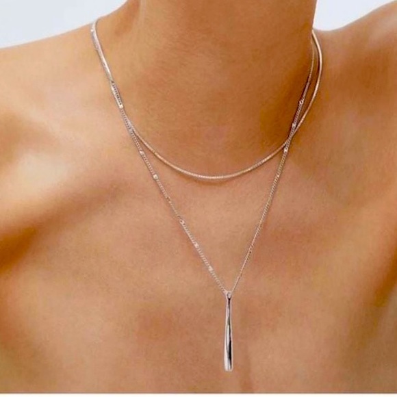 Jenny Bird Jewelry - ✨🆕 Jenny Bird Leana Pendant Necklace Silver